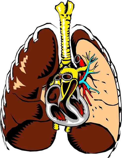 LungExpand Pro Respiratory Support